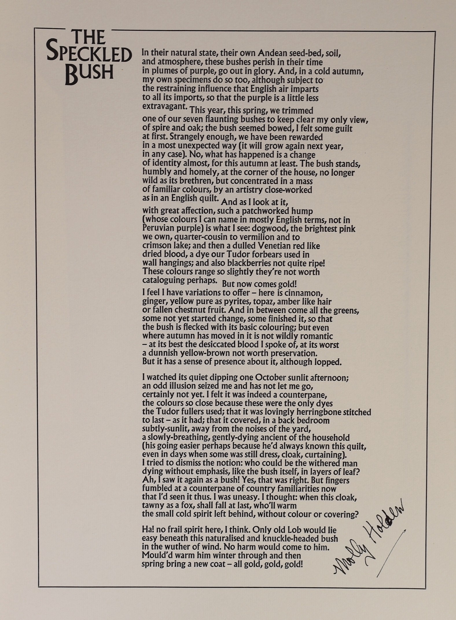 Poem of the Month Club Broadsheets, 1970’s, all 48 signed by the poets, including Philip Larkin, Seamus Heaney, Glyn Hughes, Thom Gunn, Robert Graves, Stevie Smith and John Betjeman (with a correction in his own hand)
